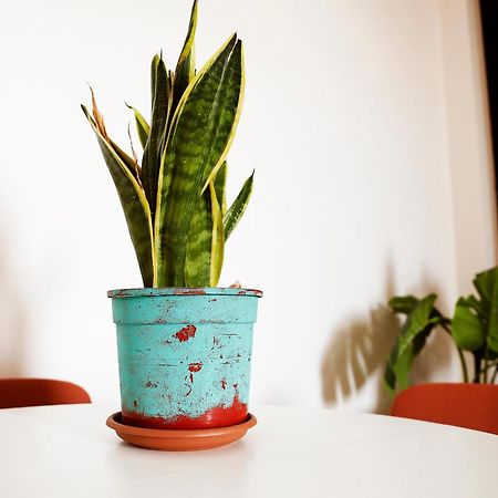 Bed and Breakfast San Martino Roma Esterno foto