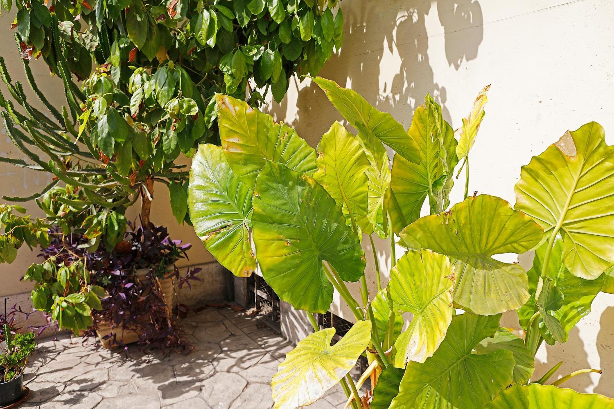 Bed and Breakfast San Martino Roma Esterno foto