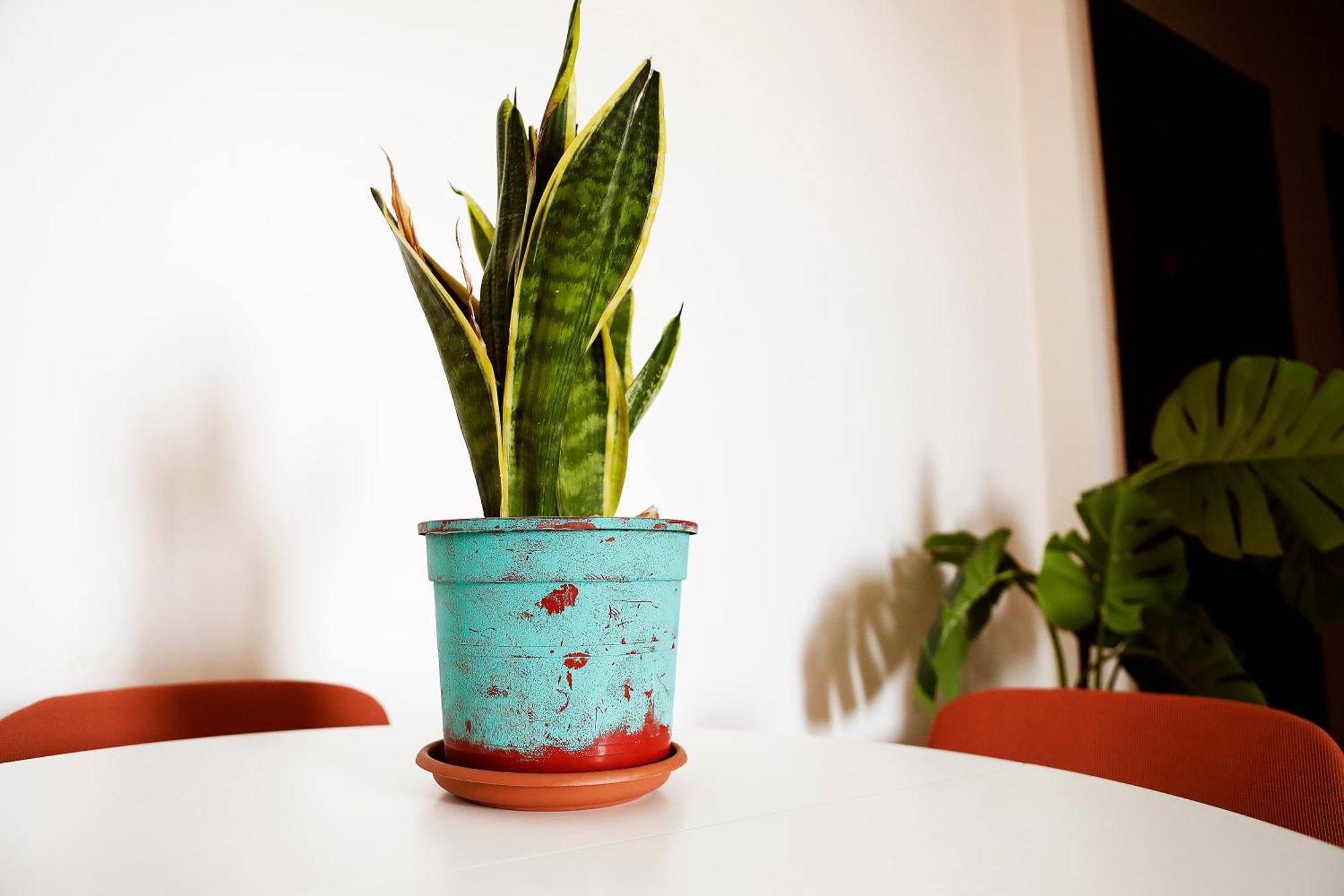 Bed and Breakfast San Martino Roma Esterno foto